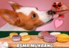Can Dogs Eat Macarons? A Complete Guide to Keep Your Pup Safe Can Dogs Eat Macarons or Macaroons? Expert Answers & Safety Tips