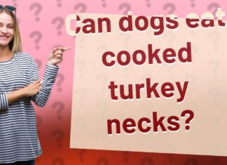 Can Dogs Eat Cooked Turkey Necks? A Complete Guide to Safe Feeding Can Dogs Eat Turkey Necks? A Guide: Benefits