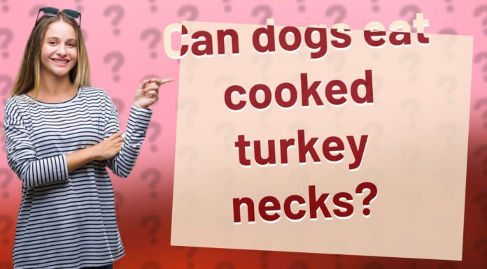Can Dogs Eat Cooked Turkey Necks? A Complete Guide to Safe Feeding Can Dogs Eat Turkey Necks? A Guide: Benefits