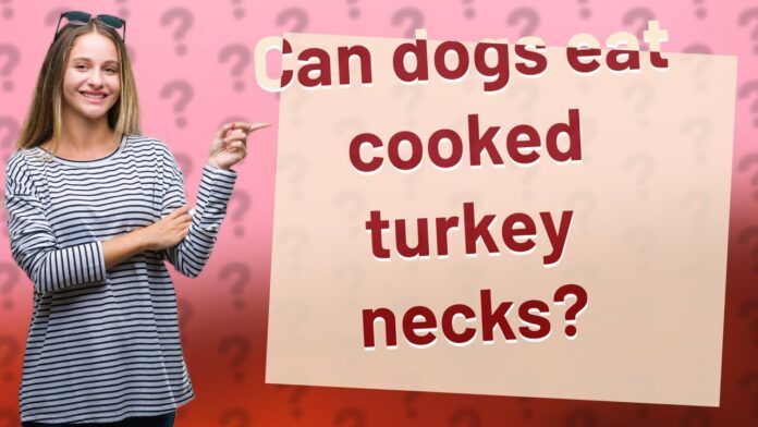 Can Dogs Eat Turkey Necks? A Guide: Benefits