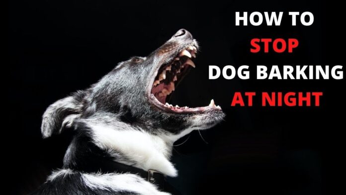 Can I ignore dog barking? : r/Dogtraining