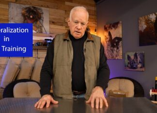 Mastering Generalization Dog Training: A Complete Guide to Teaching Your Dog Everywhere Skills Generalizing
