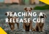 The Ultimate Guide to Dog Release: Training Your Pup for Perfect Freedom Cues Always remember to release your dog!