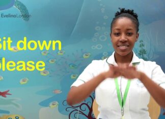 Teaching Your Dog the Universal Sign for Sit Down: A Complete Guide "sit" American Sign Language