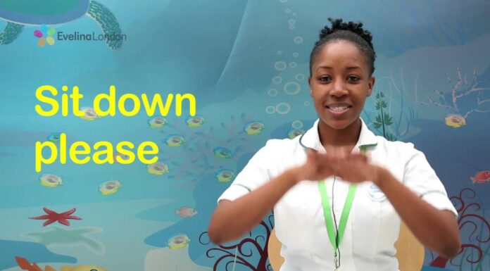 Teaching Your Dog the Universal Sign for Sit Down: A Complete Guide "sit" American Sign Language