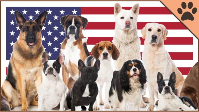 List of U.S. state dogs