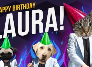 Laura Cat: The Adorable Pink Squishmallow That’s Stealing Hearts Everywhere Laura