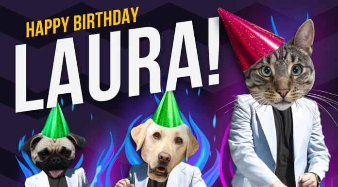 Laura Cat: The Adorable Pink Squishmallow That’s Stealing Hearts Everywhere Laura