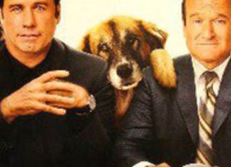 The Ultimate Old Dogs Parents Guide: Everything You Need to Know About Senior Canine Care Old Dogs (2009)
