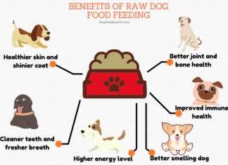 The Ultimate Guide: 10 Amazing Benefits of Natural Dog Food That Will Transform Your Pet’s Life Top 8 Benefits Of Natural Dog Foods