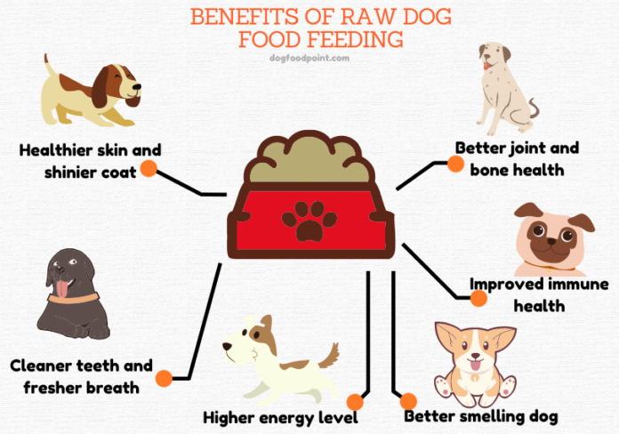 Top 8 Benefits Of Natural Dog Foods