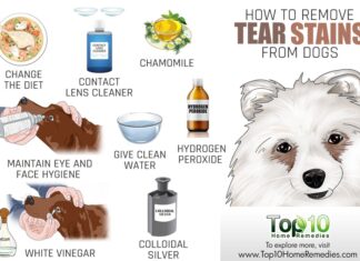 Natural Home Remedies to Clean Dog Tear Stains: A Complete Guide How to Remove Dog Tear Stains Naturally