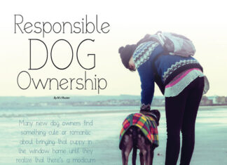 The Ultimate Guide to Responsible Dog Ownership: What Every Pet Parent Must Know Guidelines for responsible pet ownership