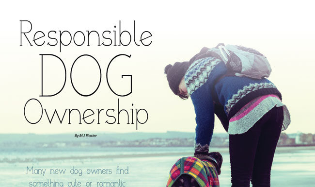The Ultimate Guide to Responsible Dog Ownership: What Every Pet Parent Must Know Guidelines for responsible pet ownership