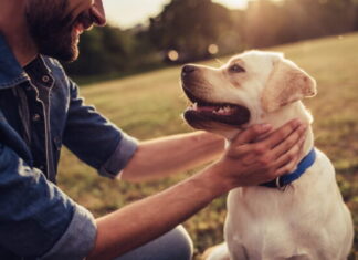 Sustainable Dog Ownership: Your Ultimate Guide to Eco-Friendly Pet Parenting How to be an eco-friendly pet owner