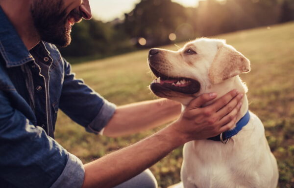 Sustainable Dog Ownership: Your Ultimate Guide to Eco-Friendly Pet Parenting How to be an eco-friendly pet owner