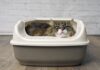 Why Is Cat Sitting in Litter Box? 7 Reasons That Might Surprise You why is my female cat just casually laying in her litter box? : r/CATHELP