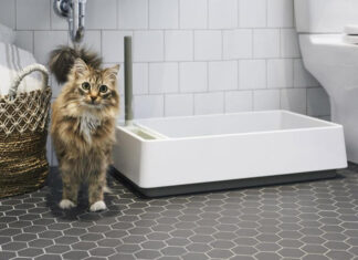 Tuft+Paw: The Revolutionary Brand Reshaping Modern Pet Furniture Design Tuft + Pawwww.tuftandpaw.com