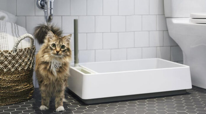 Tuft+Paw: The Revolutionary Brand Reshaping Modern Pet Furniture Design Tuft + Pawwww.tuftandpaw.com